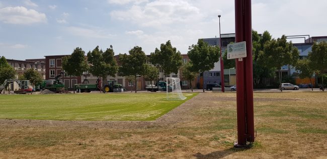 kunstgras Katendrecht