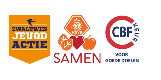 zwaluwenjeugdactiesponsoren