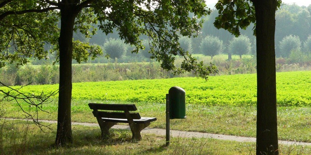 bankje in het park