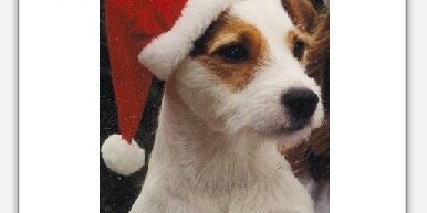 Hartenaas KerstBandit