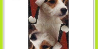 Hartenaas KerstBandit